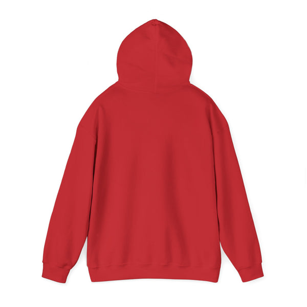Panda Trio Cycling Hoodie – Cute Biking Animal Graphic Sweatshirt